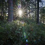 In By Interhome Апартаменты *