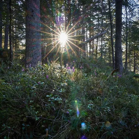 In By Interhome Apartment *