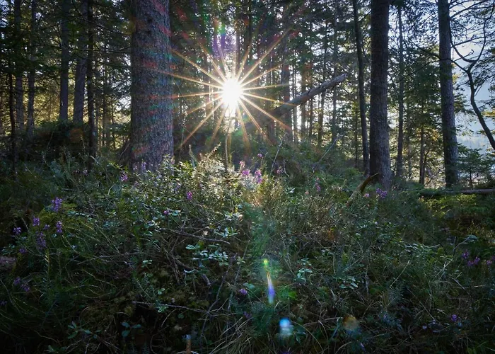 In By Interhome Apartment *